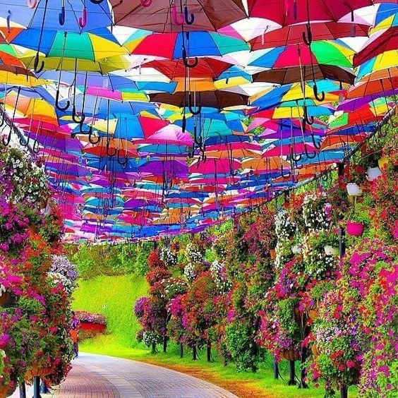 Miracle Garden, Dubai. 