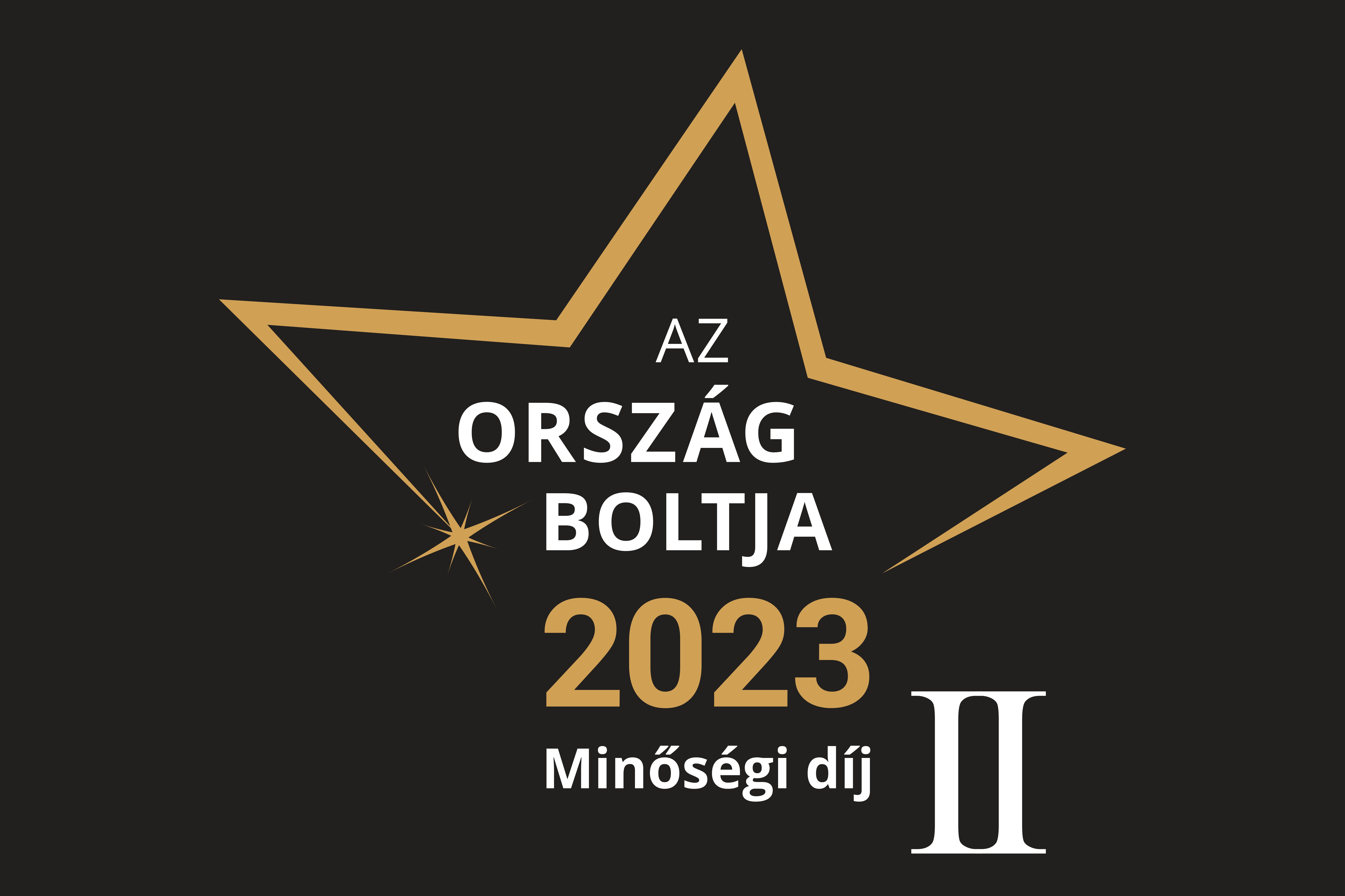 Ország Boltja 2023 - Építkezés, kert, lakberendezés kategória 2. helyezettje az ANRO Épületdíszítés Kft. 