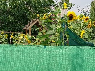 Szőtt árnyékoló háló 95%-os takarás, RECYNET PLUS (2x10 méter) zöld