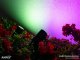 Smart leszúrható kerti lámpa - LED reflektorlámpa 130 cm dugvillás kábellel (7W) RGB+CCT, IP65