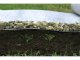 Talajtakaró fólia, Geotex polipropilén geotextília 100 g/m2 (1x100 méter) fekete