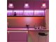 LED szalag beltéri 3535-120 (24 Volt) - RGB