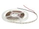 LED szalag beltéri 2835-140 (24 Volt) - hideg fehér (100lm/W CRI=90)