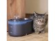 Pet Care háziállat itató vízszökőkút, 2.6 liter, szürke