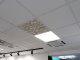 Mennyezeti kazettás dekorpanel, ágak, 595x595 mm, 3 mm HDF - Krém