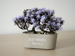 Műnövény dekoráció - bonsai, lila (19x13cm)