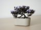 Műnövény dekoráció - bonsai, lila (19x13cm)