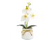 Műnövény dekoráció - cserepes orchidea, fehér (20x9cm)