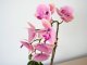 Műnövény dekoráció - cserepes orchidea, rózsaszín (48 cm)