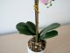 Műnövény dekoráció - cserepes orchidea, rózsaszín (48 cm)