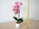 Műnövény dekoráció - cserepes orchidea, rózsaszín (48 cm)