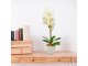 Műnövény dekoráció - cserepes orchidea, fehér (48 cm)