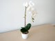 Műnövény dekoráció - cserepes orchidea, fehér (48 cm)
