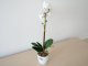 Műnövény dekoráció - cserepes orchidea, fehér (48 cm)