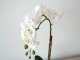 Műnövény dekoráció - cserepes orchidea, fehér (48 cm)