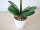 Műnövény dekoráció - cserepes orchidea, fehér (48 cm)