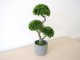 Műnövény dekoráció - cserepes bonsai, zöld (55 cm)