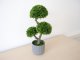 Műnövény dekoráció - cserepes bonsai, zöld (55 cm)