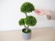 Műnövény dekoráció - cserepes bonsai, zöld (55 cm)
