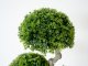 Műnövény dekoráció - cserepes bonsai, zöld (55 cm)