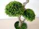 Műnövény dekoráció - cserepes bonsai, zöld (55 cm)