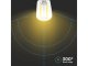 E14 LED izzó filament (2W/300°) ST26 - hideg fehér
