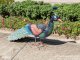 Peacky dekoratív páva figura, fém, zöld