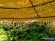 - Sunprotect trópusi stílusú napernyő (Ø175cm) árnyékoló napágy mellé strandon, szállodában