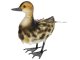 Ducky dekoratív kacsa figura, festett fém, színes
