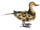 Ducky dekoratív kacsa figura, festett fém, színes