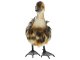 Ducky dekoratív kacsa figura, festett fém, színes