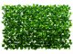 Műleveles apácarács zöld levelekkel EXTENSY GREEN (90x180 cm) belátáskorlátozáshoz, díszítéshez