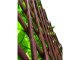 Műleveles apácarács zöld levelekkel EXTENSY GREEN (90x180 cm) belátáskorlátozáshoz, díszítéshez
