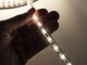 3528 SMD Rope IP67 kültéri LED szalag betáppal (230V, 60 LED, 4.8W/m) természetes fehér - 50 méter