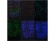Karácsonyi LED fényfüggöny (1m x 1.5m/144 LED) multicolor, 58 mód, időzítő, távirányító