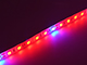 LED szalag kültéri 5050-60 (24 Volt) - növénytermesztéshez Kifutó!