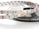 LED szalag kültéri 5050-60 (12 Volt) - zöld, 5m