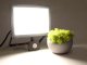 Mureva mozgásérzékelős LED reflektor (50W/110°) természetes fehér