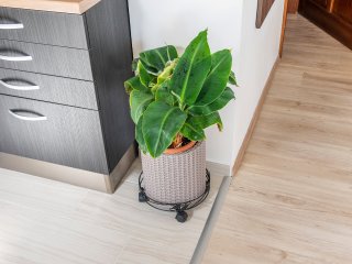 Gurulós virágalátét beltéri, 32 cm, Flora Roll Art Deco: fém, növényi díszítéssel