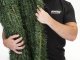 Greenwitch mesterséges sövény, 90%-os takarás (2x3 méter) zöld-barna