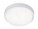 Loki LED kültéri fali lámpa, kerek LED hajólámpa IP54 (15W) természetes fehér