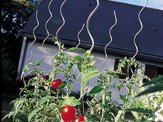 Paradicsom spirál karó acélból - Ezüst (180 cm)