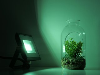 Party LED reflektor zöld fényű (10W/850lm) színes világításhoz, kertbe, kültérre