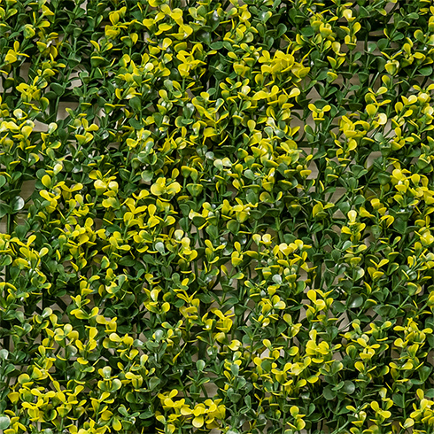 Vertical Buxus műanyag zöldfal buxuslevelekkel (100x100 cm)