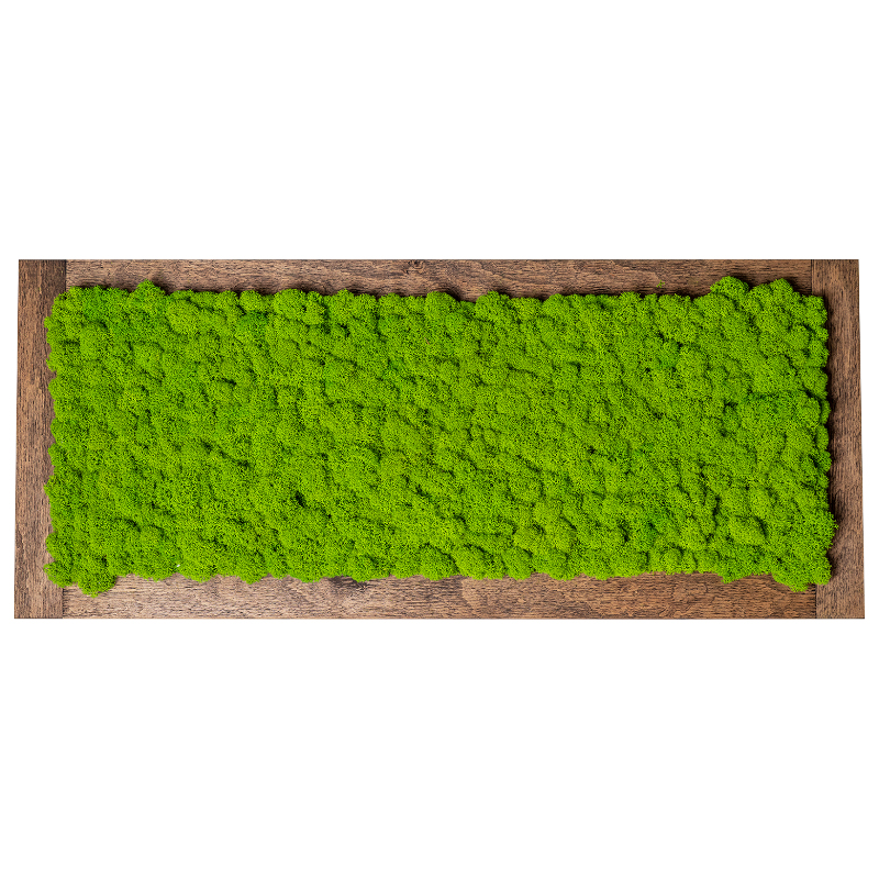 Zuzmó falikép XXL, fa keretes, egyszínű zöld zuzmóval (30x70 cm)