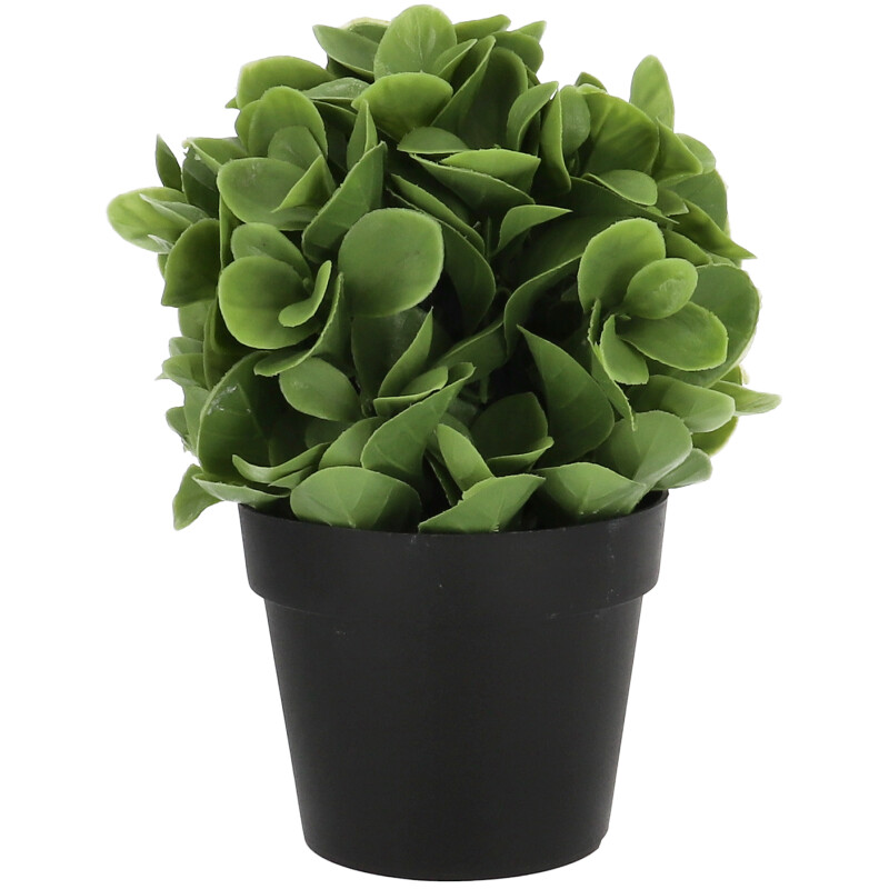 Cserepes művirág: jade 20 cm, pozsgás növény utánzat