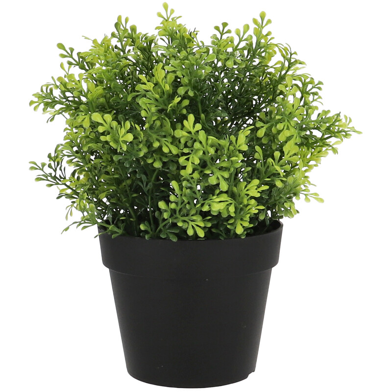 Cserepes művirág zöld száron kicsi zöld levelek, 21 cm
