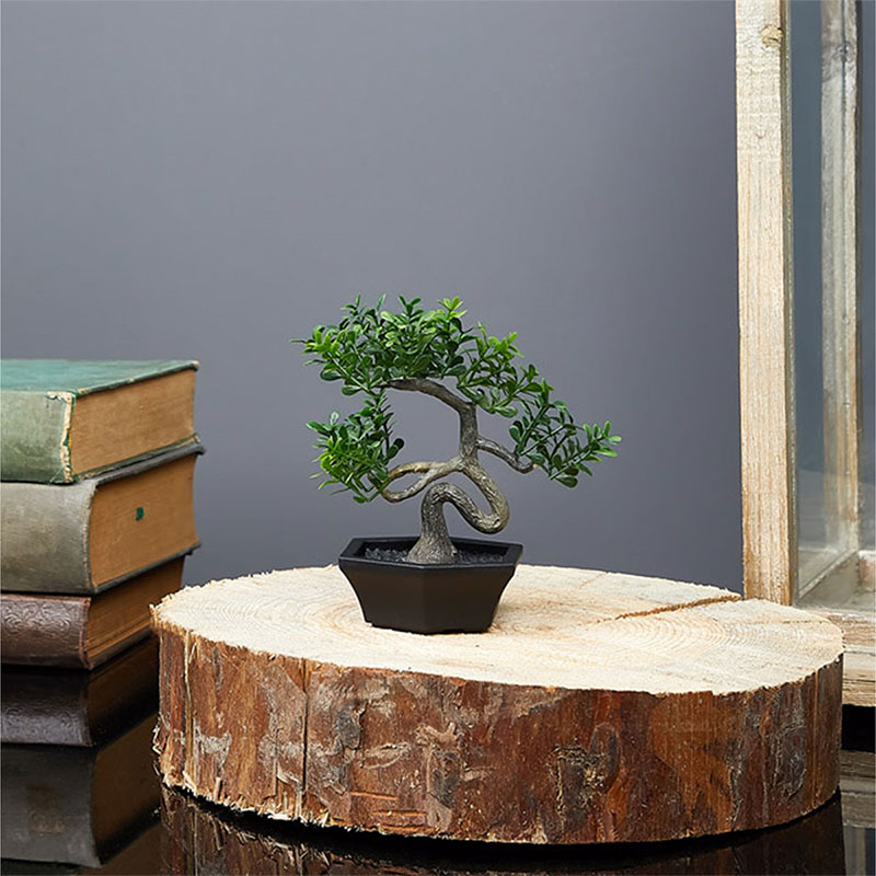 Műnövény dekoráció - bonsai (10x13cm)