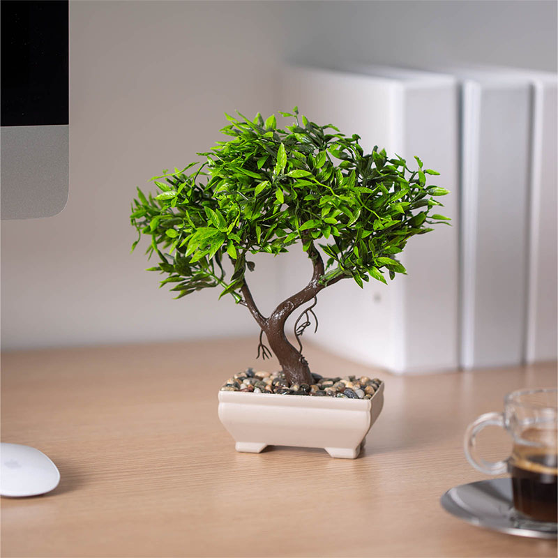 Műnövény dekoráció - bonsai (18x24cm)