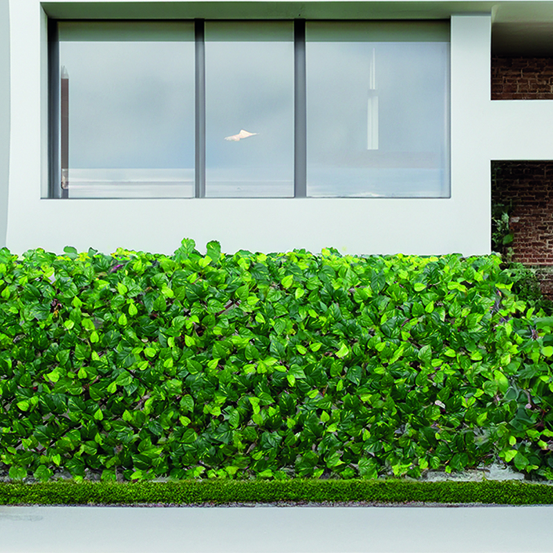Műleveles apácarács zöld levelekkel EXTENSY GREEN (90x180 cm) belátáskorlátozáshoz, díszítéshez